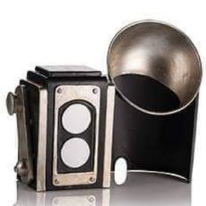 Pink zebra vintage camera shade